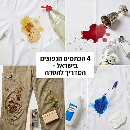 4 ���� ������ ������� ����� ������ ���� ������� ���� 